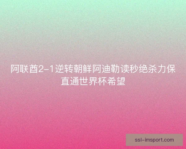 阿联酋2-1逆转朝鲜阿迪勒读秒绝杀力保直通世界杯希望